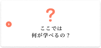 ここでは何が学べるの？