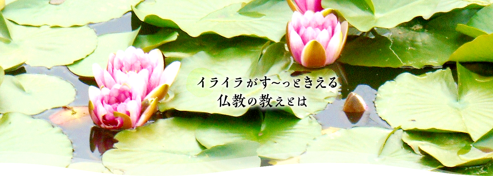 イライラがす~っときえる仏教の教えとは